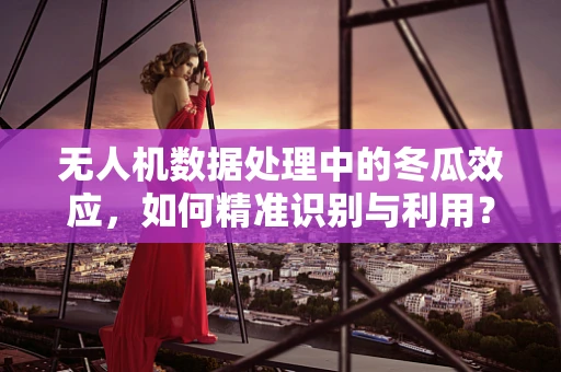 无人机数据处理中的冬瓜效应，如何精准识别与利用？