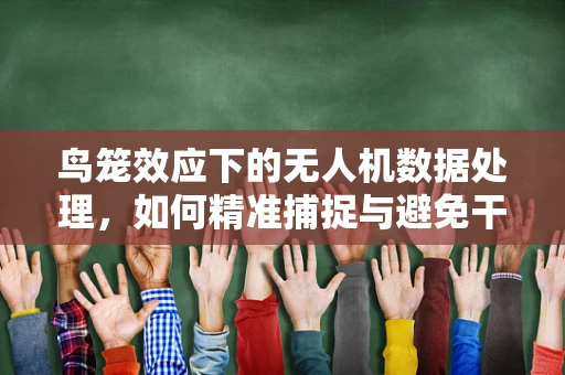 鸟笼效应下的无人机数据处理，如何精准捕捉与避免干扰？