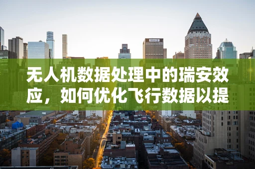 无人机数据处理中的瑞安效应，如何优化飞行数据以提升城市监控效率？