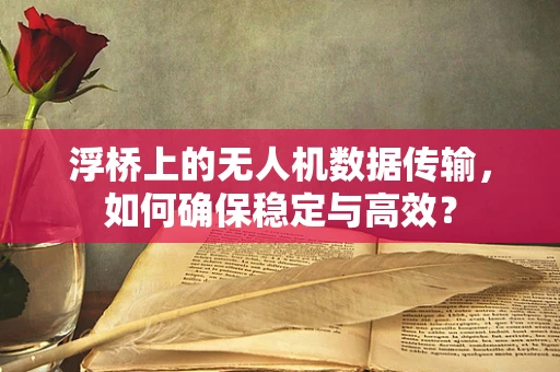 浮桥上的无人机数据传输，如何确保稳定与高效？