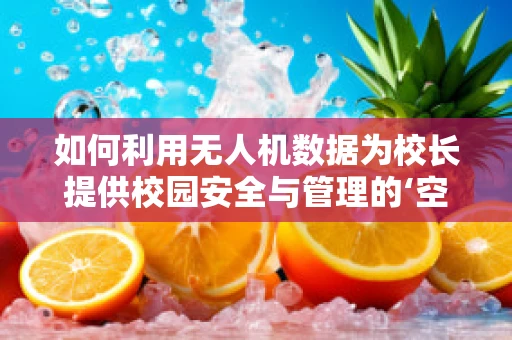 如何利用无人机数据为校长提供校园安全与管理的‘空中视角’？