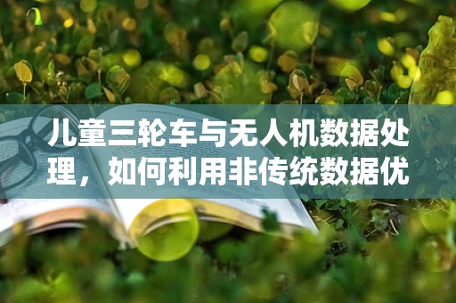 儿童三轮车与无人机数据处理，如何利用非传统数据优化飞行性能？