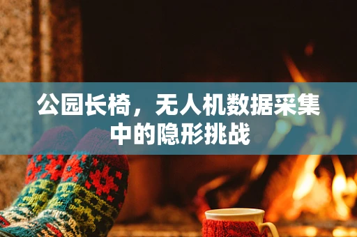 公园长椅，无人机数据采集中的隐形挑战