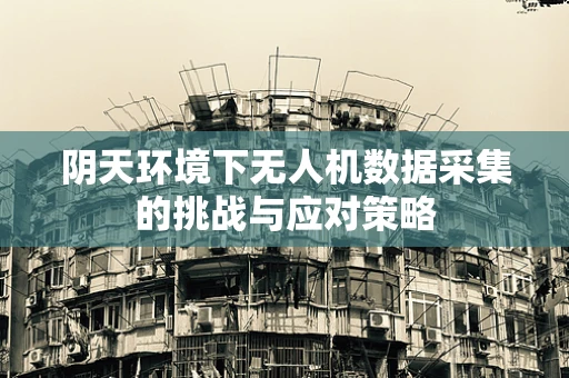 阴天环境下无人机数据采集的挑战与应对策略