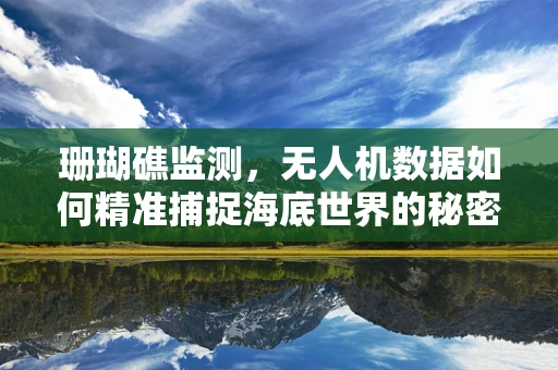 珊瑚礁监测，无人机数据如何精准捕捉海底世界的秘密？