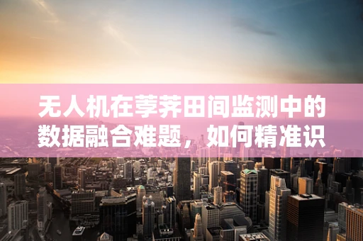 无人机在荸荠田间监测中的数据融合难题，如何精准识别与分类？