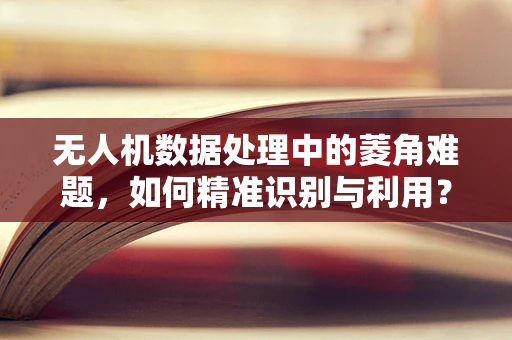 无人机数据处理中的菱角难题，如何精准识别与利用？