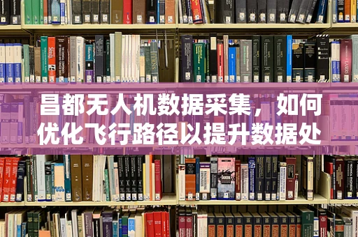 昌都无人机数据采集，如何优化飞行路径以提升数据处理效率？