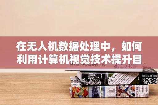 在无人机数据处理中，如何利用计算机视觉技术提升目标识别精度？