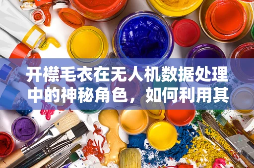 开襟毛衣在无人机数据处理中的神秘角色，如何利用其特性优化数据传输？