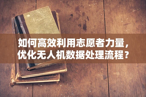 如何高效利用志愿者力量，优化无人机数据处理流程？