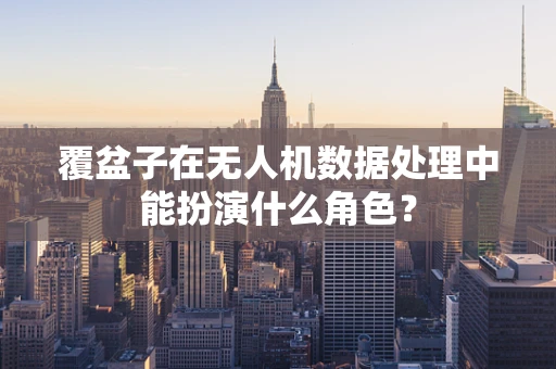 覆盆子在无人机数据处理中能扮演什么角色？
