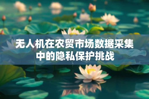 无人机在农贸市场数据采集中的隐私保护挑战