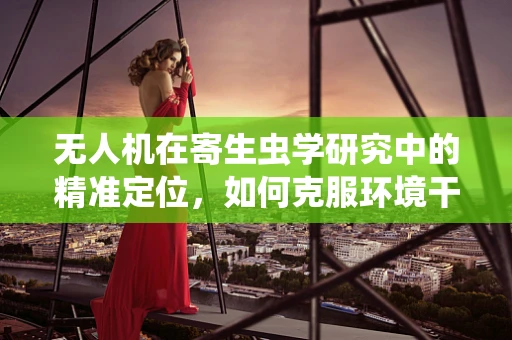 无人机在寄生虫学研究中的精准定位，如何克服环境干扰？