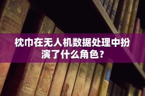 枕巾在无人机数据处理中扮演了什么角色？
