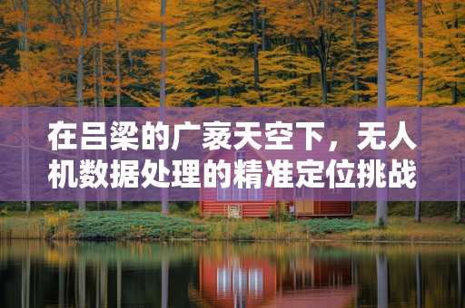在吕梁的广袤天空下，无人机数据处理的精准定位挑战何在？
