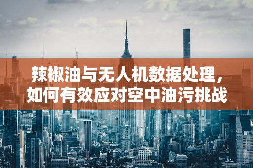 辣椒油与无人机数据处理，如何有效应对空中油污挑战？