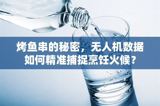 烤鱼串的秘密，无人机数据如何精准捕捉烹饪火候？