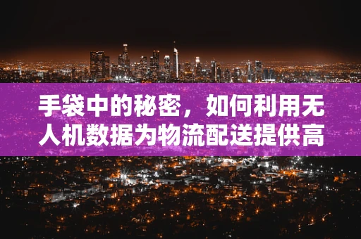 手袋中的秘密，如何利用无人机数据为物流配送提供高效导航？