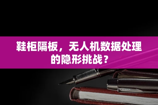 鞋柜隔板，无人机数据处理的隐形挑战？