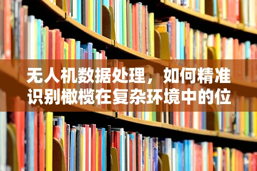 无人机数据处理，如何精准识别橄榄在复杂环境中的位置？