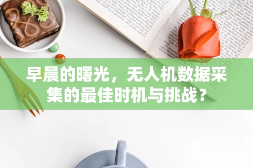 早晨的曙光，无人机数据采集的最佳时机与挑战？