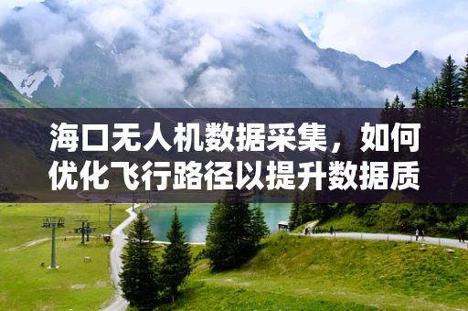 海口无人机数据采集，如何优化飞行路径以提升数据质量？