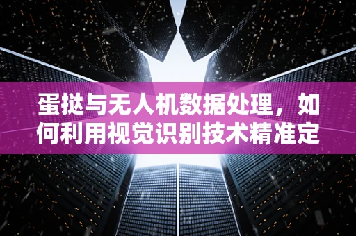 蛋挞与无人机数据处理，如何利用视觉识别技术精准定位？