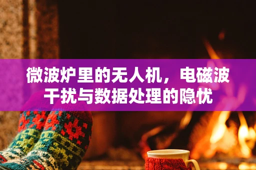 微波炉里的无人机，电磁波干扰与数据处理的隐忧