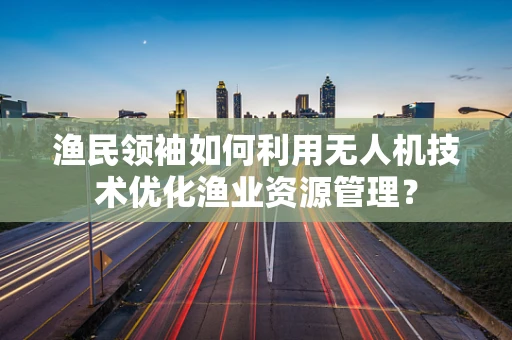 渔民领袖如何利用无人机技术优化渔业资源管理？
