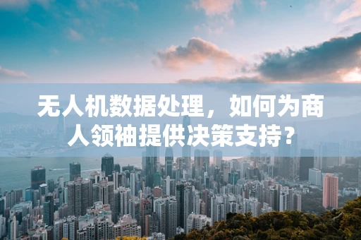 无人机数据处理，如何为商人领袖提供决策支持？