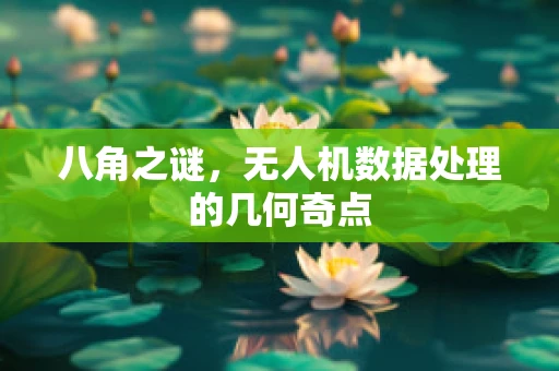 八角之谜，无人机数据处理的几何奇点