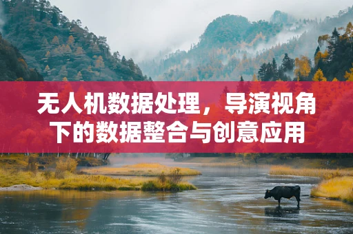 无人机数据处理，导演视角下的数据整合与创意应用