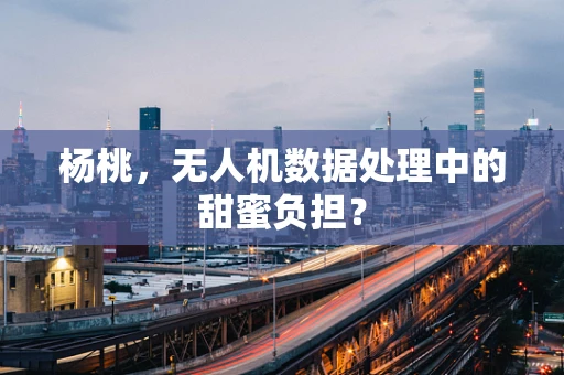 杨桃，无人机数据处理中的甜蜜负担？