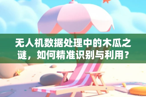 无人机数据处理中的木瓜之谜，如何精准识别与利用？