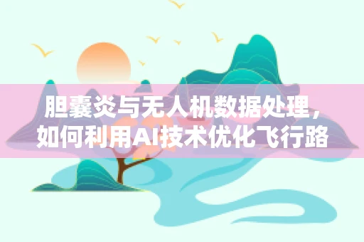 胆囊炎与无人机数据处理，如何利用AI技术优化飞行路径以避免‘空中不适’？