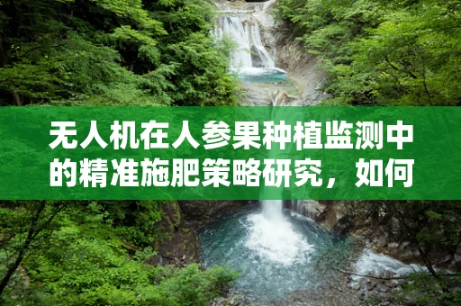 无人机在人参果种植监测中的精准施肥策略研究，如何优化数据采集与处理？