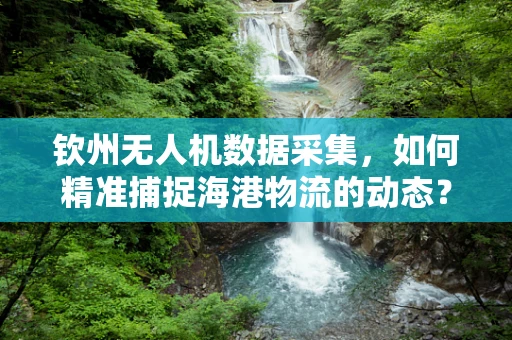 钦州无人机数据采集，如何精准捕捉海港物流的动态？