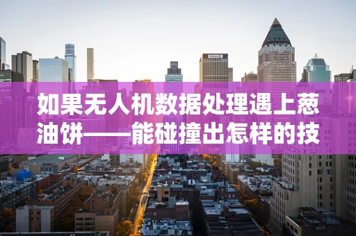 如果无人机数据处理遇上葱油饼——能碰撞出怎样的技术火花？