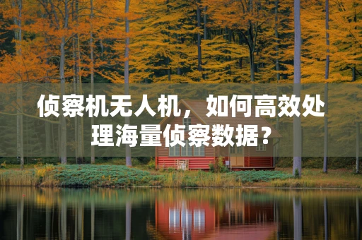 侦察机无人机，如何高效处理海量侦察数据？