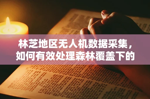林芝地区无人机数据采集，如何有效处理森林覆盖下的信号干扰？