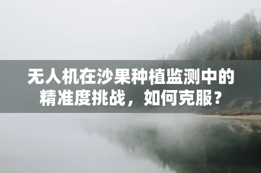 无人机在沙果种植监测中的精准度挑战，如何克服？