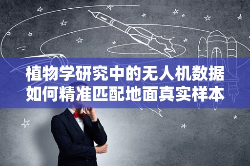 植物学研究中的无人机数据如何精准匹配地面真实样本？