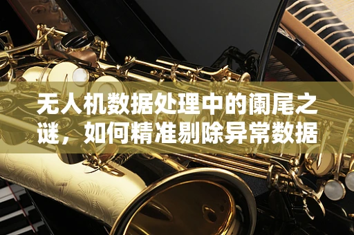 无人机数据处理中的阑尾之谜，如何精准剔除异常数据？