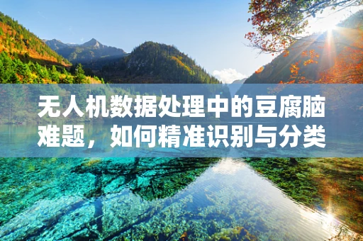 无人机数据处理中的豆腐脑难题，如何精准识别与分类？