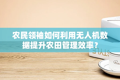 农民领袖如何利用无人机数据提升农田管理效率？