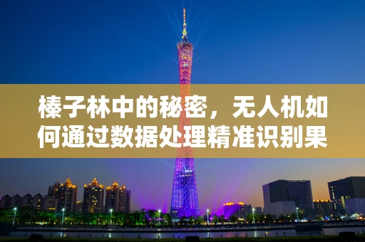 榛子林中的秘密，无人机如何通过数据处理精准识别果实成熟度？