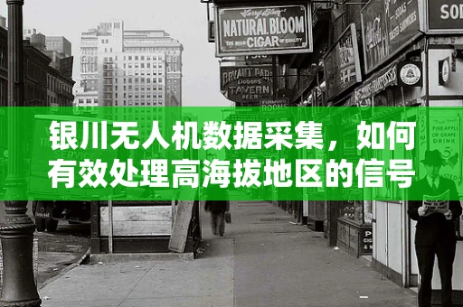 银川无人机数据采集，如何有效处理高海拔地区的信号干扰问题？
