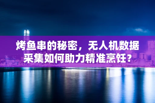 烤鱼串的秘密，无人机数据采集如何助力精准烹饪？