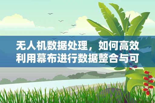 无人机数据处理，如何高效利用幕布进行数据整合与可视化？